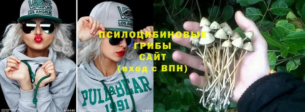 МДПВ Алексеевка
